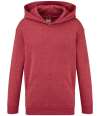 62043 Children's Hooded Sweatshirt Heather Red colour image